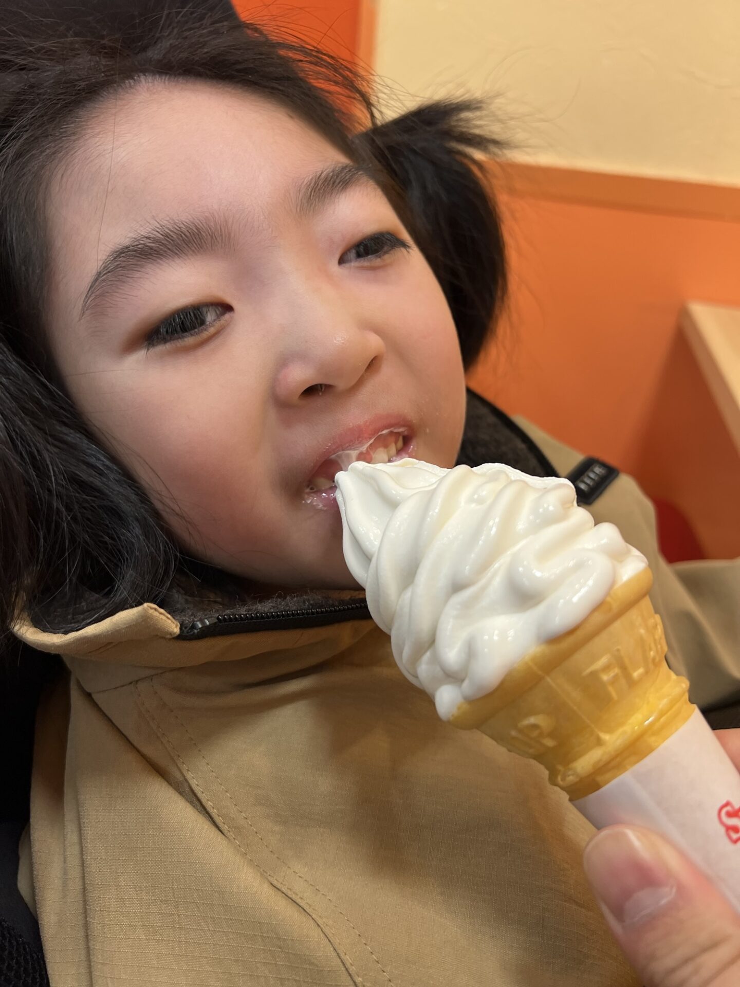 スガキヤソフト堪能🍦